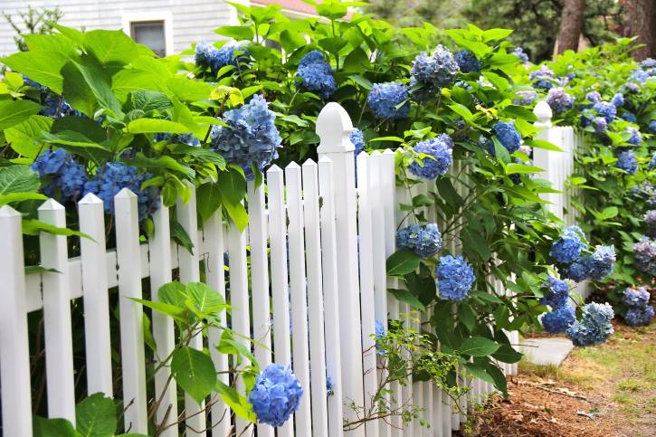 Fencing Faux-Pas