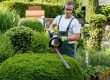 Hiring Landscaper