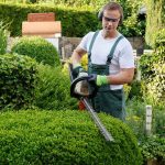 Hiring Landscaper