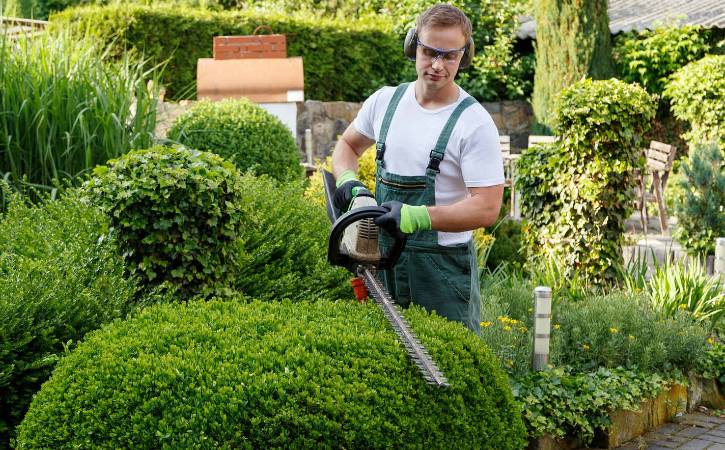 Hiring Landscaper