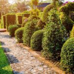 5 Ideas For Using Decorative Stones In Your Landscaped Garden