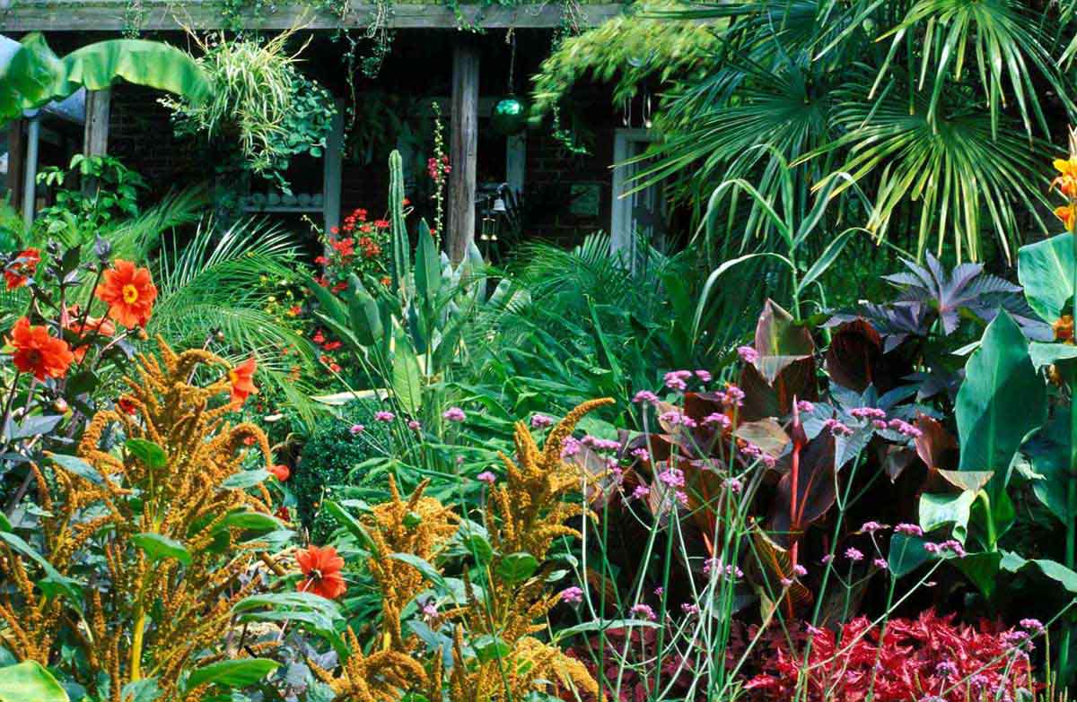 10 Ways Sydney Homeowners Can Deter Bugs And Pests From Visiting Their Landscaped Gardens