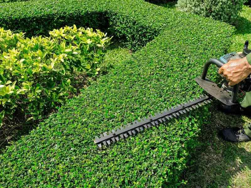 Garden maintenance sydney