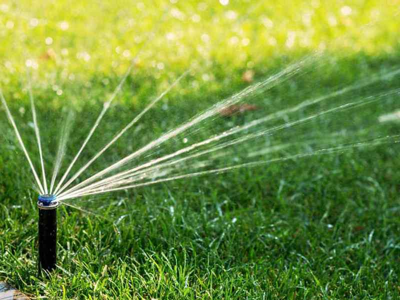 Garden & landscping maintenance services in Sydney