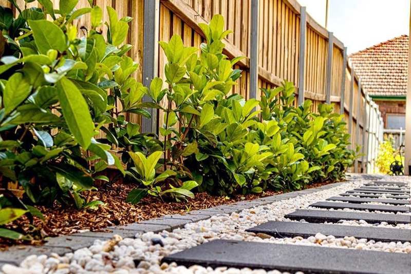 Garden maintenance services in sydney, NSW